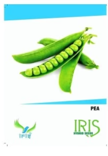 IRIS HYBRID OP VEGETABLE SEEDS PEAS