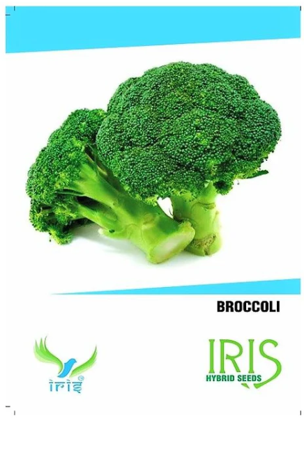 IRIS HYBRID VEGETABLE SEEDS BROCCOLI