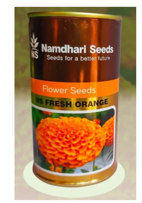 F1 HYB MARIGOLD NS 1503( FRESH ORANGE)