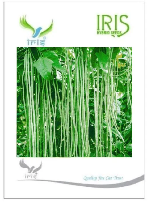 Iris Hybrid Vegetable Seeds Yardlong Beans