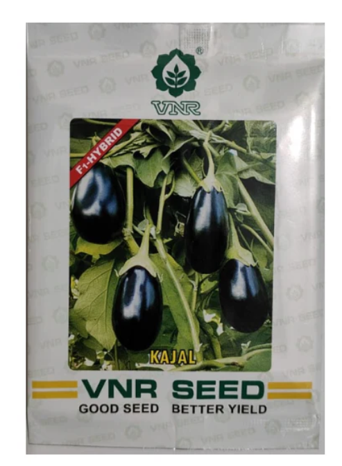 Kajal Brinjal seeds