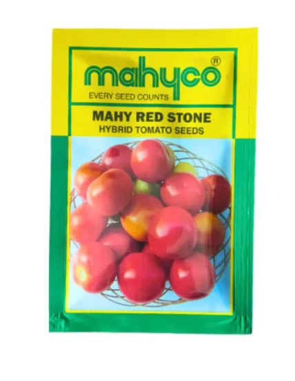 TOMATO NO. 2703 (MAHY RED STONE)