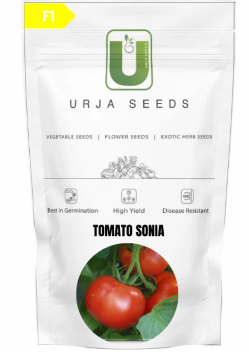 URJA TOMATO F1 SONIA