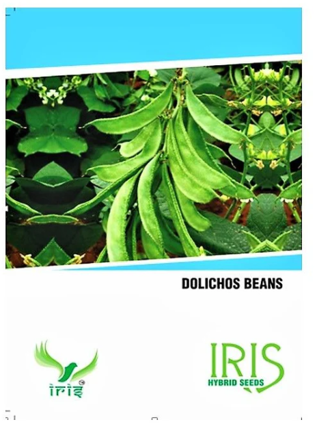 Iris Hybrid OP Dolichos Beans Seeds