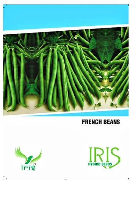 IRIS HYBRID OP VEGETABLE SEEDS FRENCH BEANS