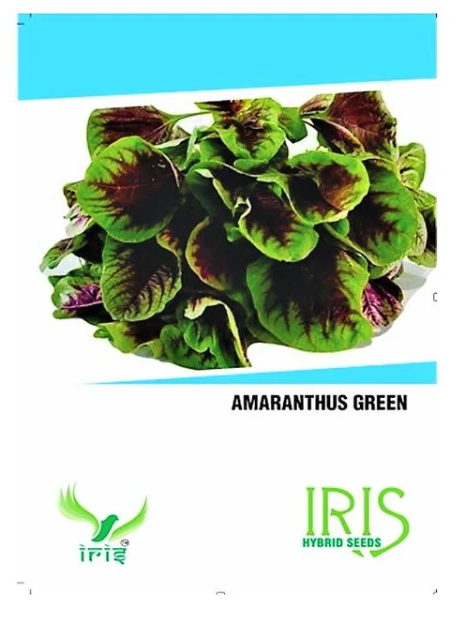 IRIS HYBRID OP AMARANTHUS GREEN VEGETABLE SEEDS