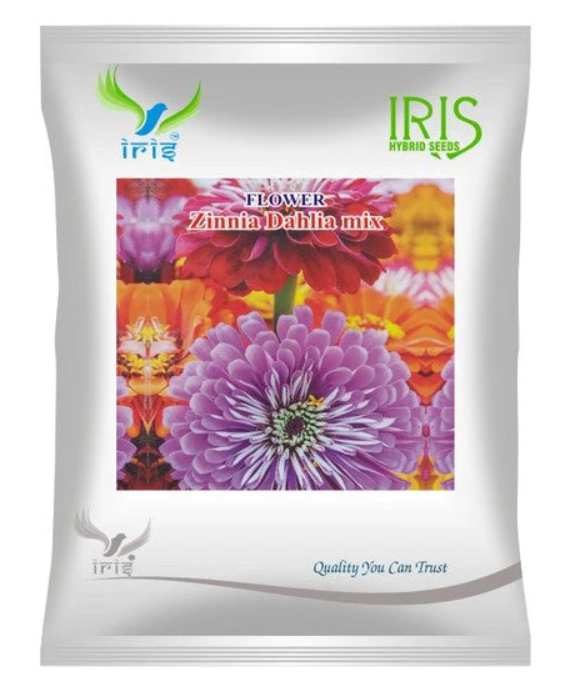 Iris Imported OP Zinnia Dahlia Mix