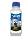 Velum Prime Nematicide Fluopyram 34.48% SC – Root Knot Nematode Control