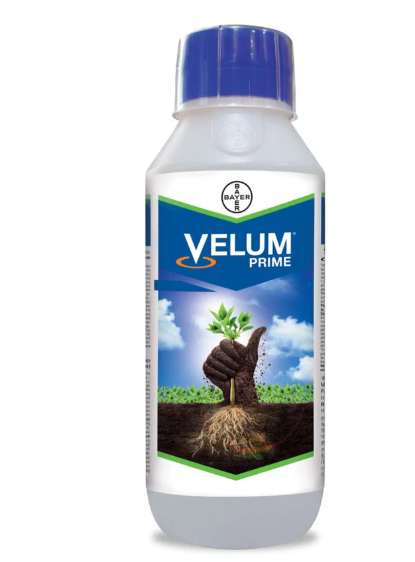 Velum Prime Nematicide Fluopyram 34.48% SC – Root Knot Nematode Control