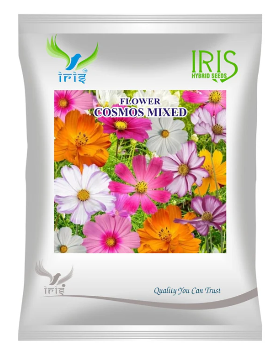 Iris Imported OP Cosmos Mix