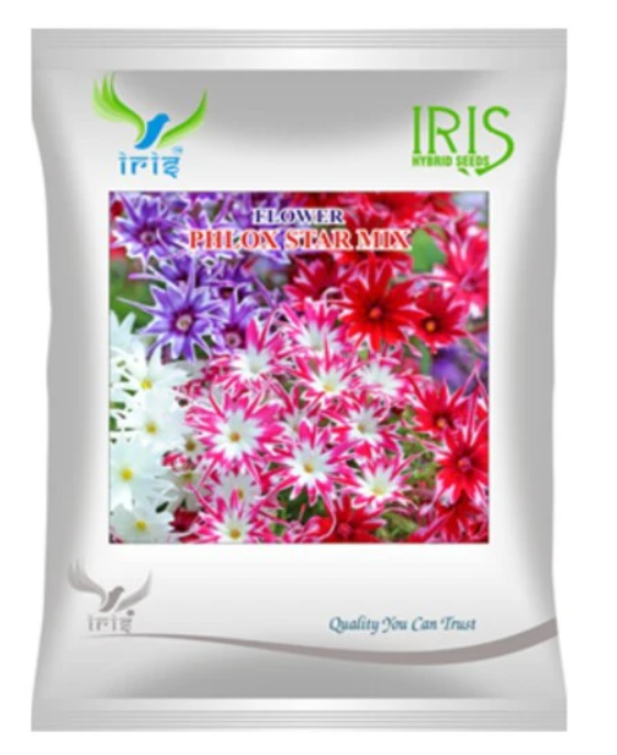 Iris Imported OP Phlox Star mix