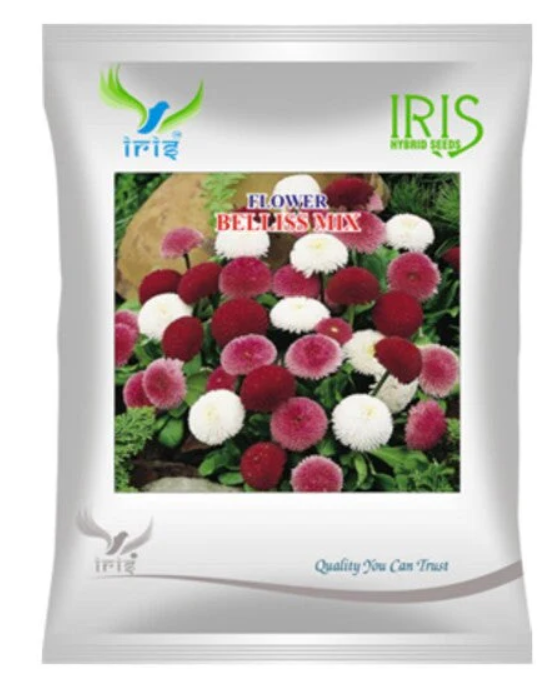 Iris Imported OP Belliss Mix
