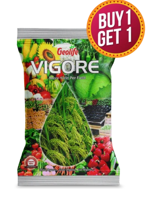 GEOLIFE VIGORE - Buy 1 Get 1 Free