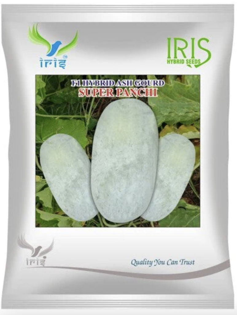 Iris Hybrid F1 Ash Gourd Super Panchi