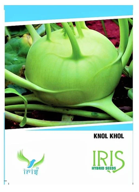 IRIS KNOL KHOL SEEDS