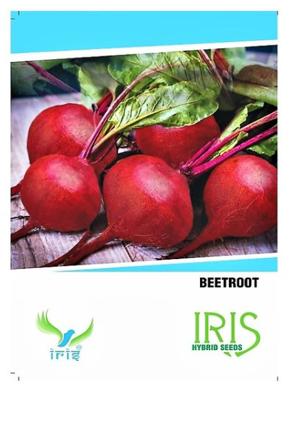 IRIS HYBRID OP VEGETABLE SEEDS BEETROOT