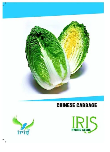 IRIS HYBRID VEGETABLE SEEDS CHINESE CABBAGE