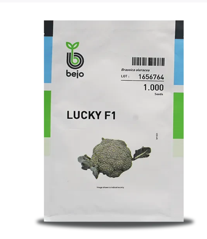 LUCKY BROCCOLI SEEDS