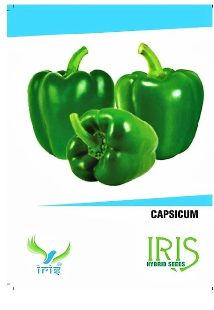 IRIS Hybrid Green Capsicum Seeds - 70% Germination