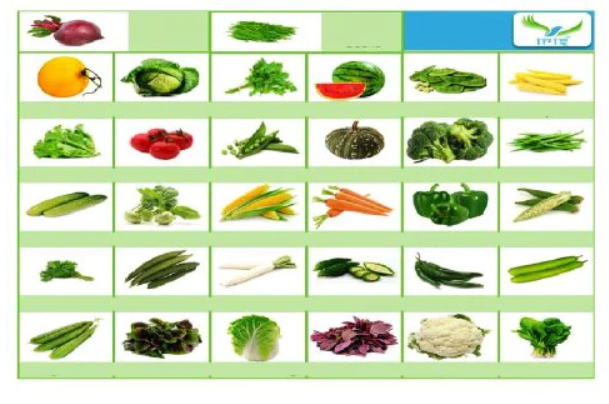 32 Variety Of Vegetables, Fruits And Herbs Seeds