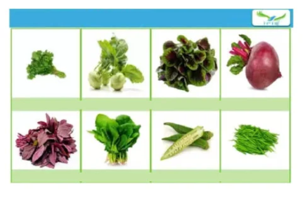 IRIS HYBRID 8 VARIETIES OF VEGETABLES, FRUITS & HERBS SEEDS