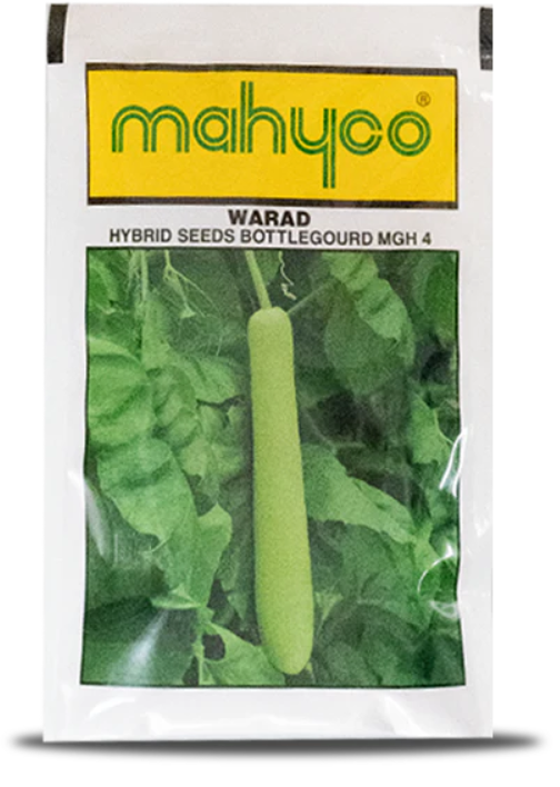 Mahy Mgh-4 Warad Bottlegourd Seeds