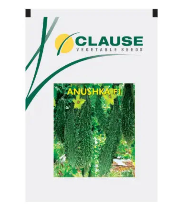 CLAUSE-ANUSHKA F1