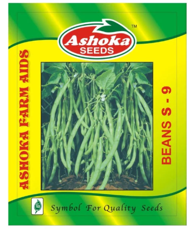 Bush Beans S-9 – Slender 16–17 cm Pods High Yield & Early Harvest
