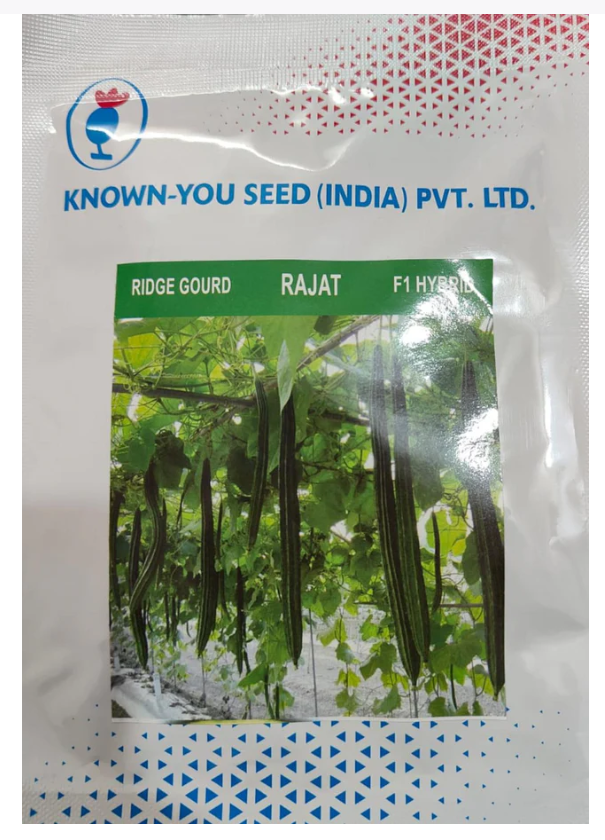 RAJAT RIDGE GOURD