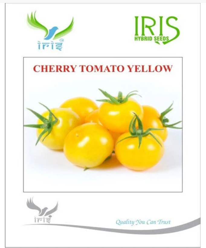 IRIS IMPORTED CHERRY TOMATO YELLOW