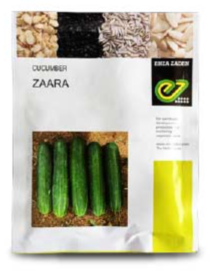 ZAARA F1 CUCUMBER