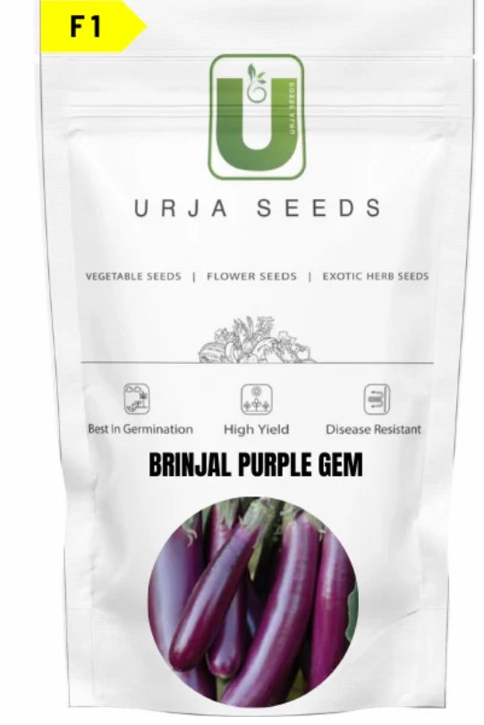 URJA BRINJAL F1 PURPLE GEM