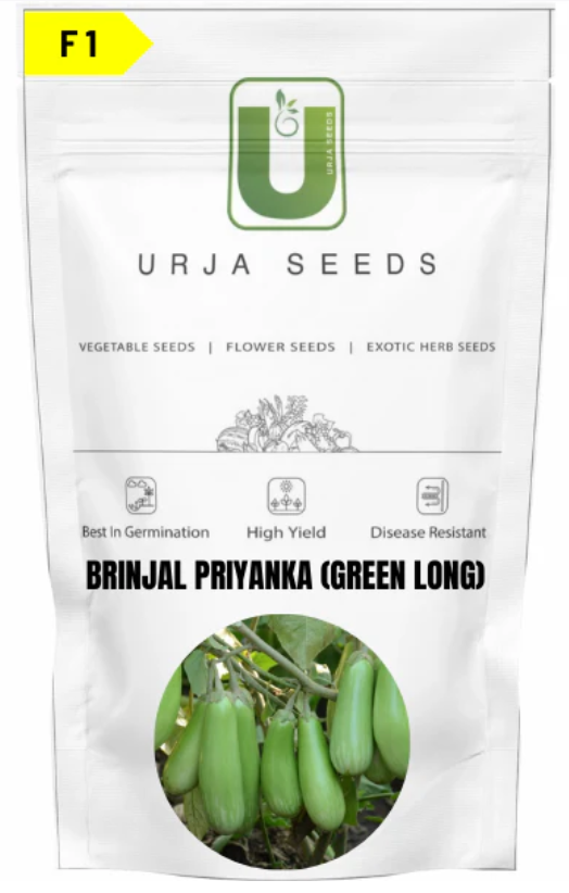 URJA BRINJAL F1 PRIYANKA (GREEN LONG)