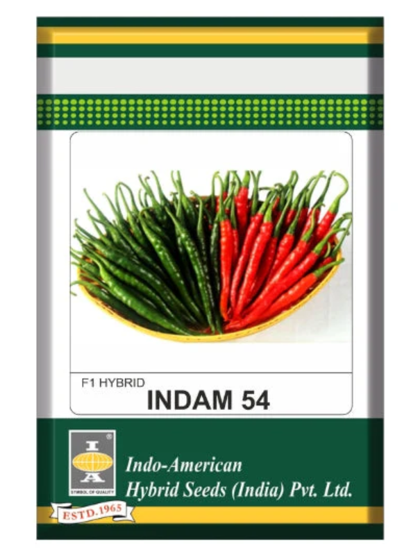 Indam 54 Chilli Seeds