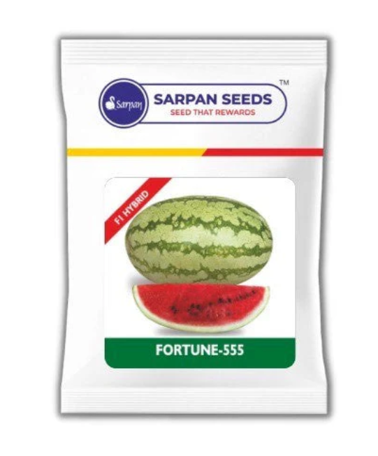 SARPAN FORTUNE-555 Watermelon