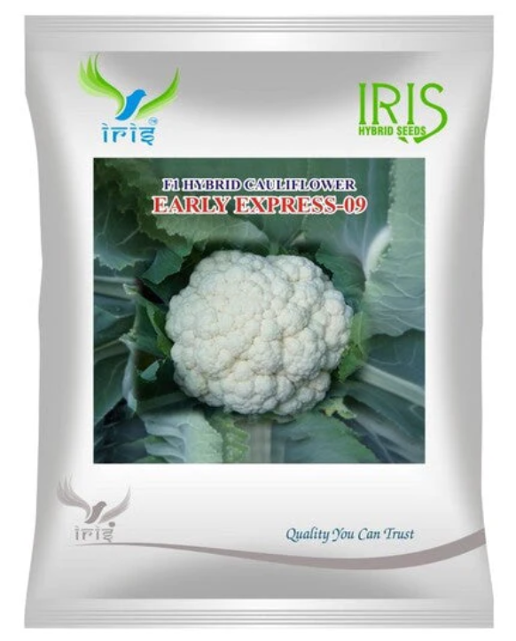 Iris Hybrid F1 Cauliflower Early Express