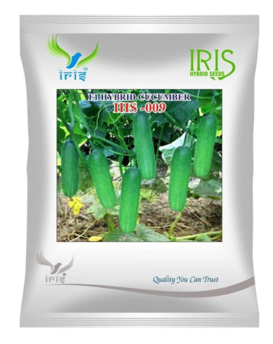 Iris Hybrid F1 CUCUMBER  IHS-009