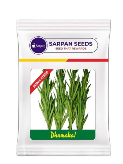 Sarpan Dhamaka Cluster Beans Seeds