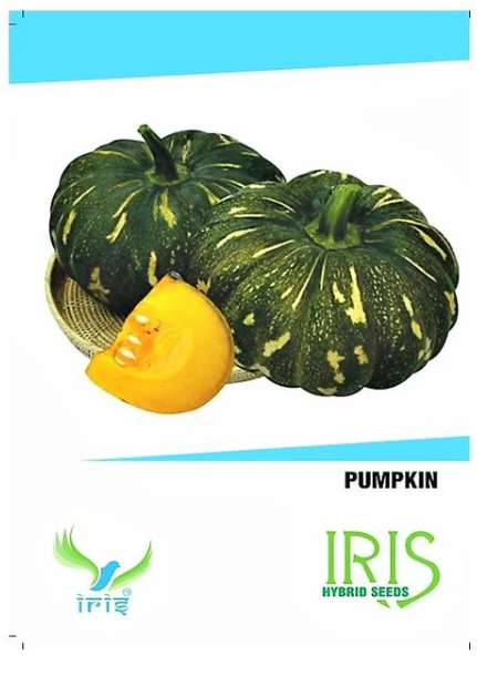 IRIS HYBRID PUMPKIN SEEDS