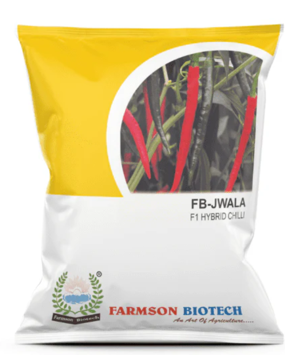 FB-JWALA F1 HYBRID CHILI SEEDS