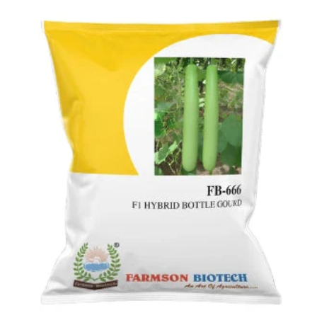 FB-666 F1 HYBRID BOTTLE GOURD SEEDS