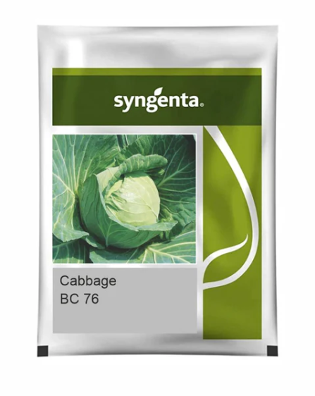 BC 76 CABBAGE