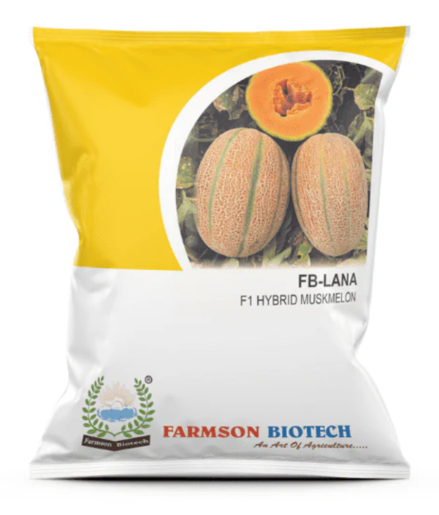 FB- LANA F1 HYBRID MUSKMELON SEEDS