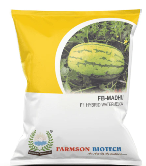 FB-MADHU F1 HYBRID WATERMELON SEEDS