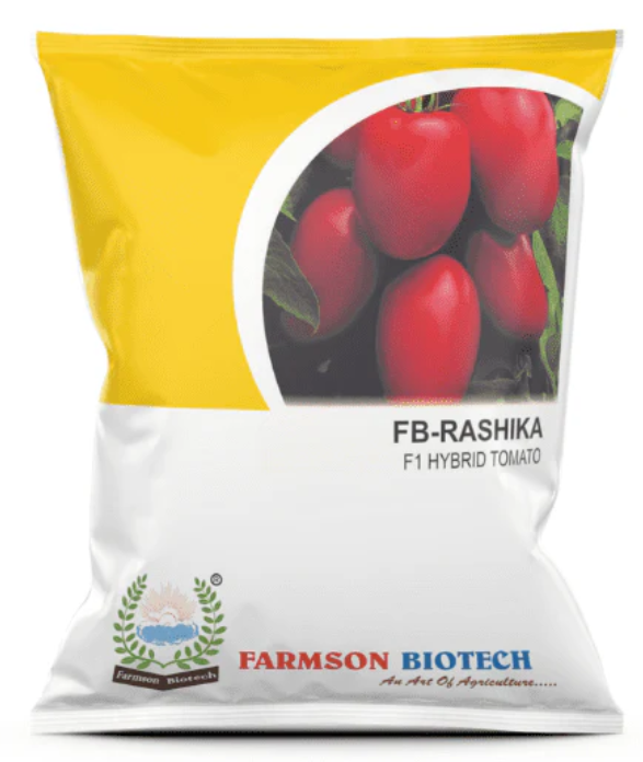 FB- RASHIKA F1HYBRID TOMATO SEEDS