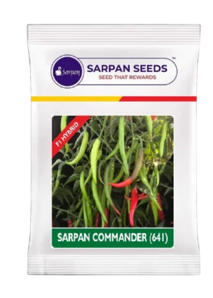 SARPAN COMMANDER(641) CHILLI SEEDS