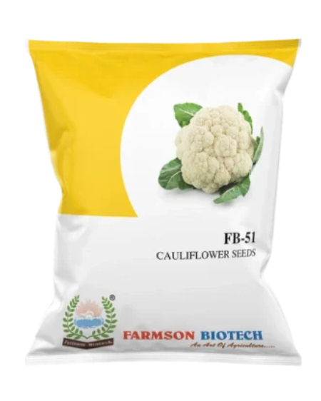 FB-51 CAULIFLOWER SEEDS