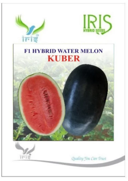 IRIS HYBRID FRUIT SEEDS WATERMELON KUBER - SUGAR BABY TYPE SEEDS