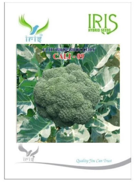 IRIS CALI-09 BROCCOLI SEEDS