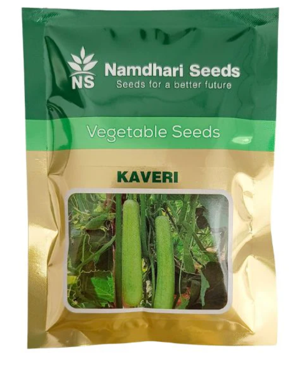 Kaveri F1 Bottle Gourd Seeds - High Yield & Vigorous Growth